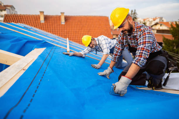 Best Roof Ventilation Installation  in Mans, CO